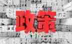 双减政策的心得7篇