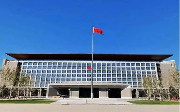 2024年政府个人总结工作总结8篇