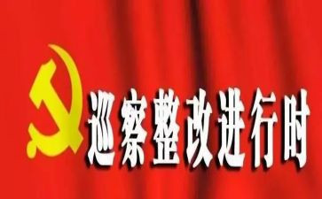 巡察办整改报告8篇