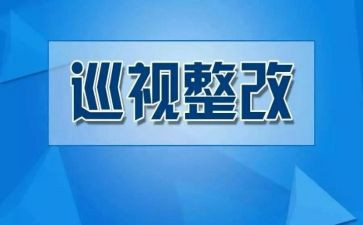 学校食堂整改报告8篇