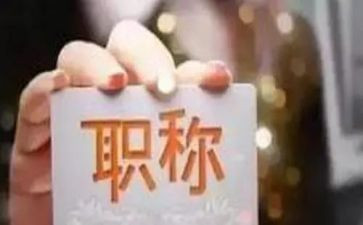 正高级职称述职报告最新8篇