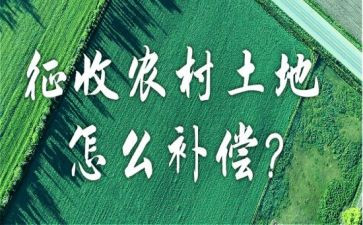 征收科工作总结5篇