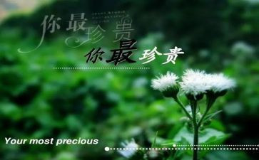 友谊最珍贵作文参考8篇