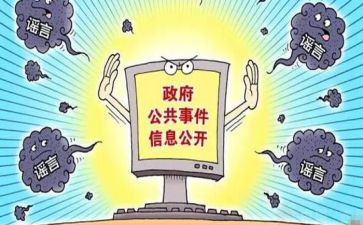 政务公开日活动总结5篇