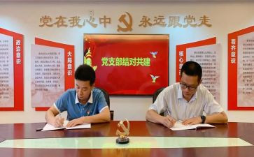 支部会述职报告优质8篇