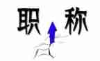 职称报告个人总结5篇