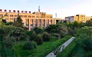 职高学期工作计划5篇