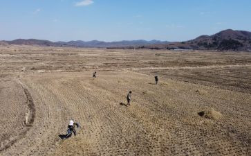 治理教育乱收费自查报告7篇
