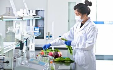 半年度质量工作总结报告7篇