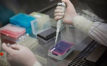 2024年质量个人总结6篇