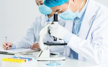 安全质量工作总结8篇