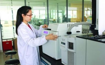 2024年质量个人总结优秀7篇