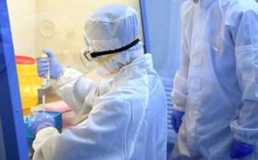 数质量述职报告模板8篇