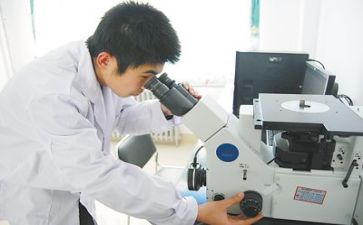 质量科工作总结最新8篇