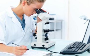 质量类述职报告通用5篇