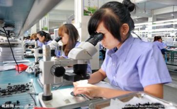 质量科述职报告6篇