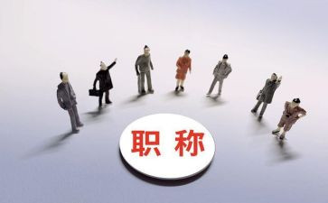 局述职评议报告5篇
