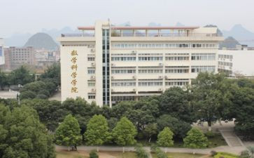职校个人总结8篇