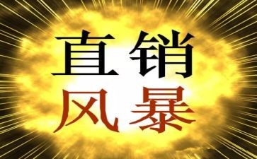 直销业年度总结5篇