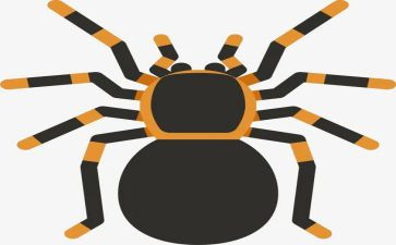 被蜘蛛吓到的作文精选7篇