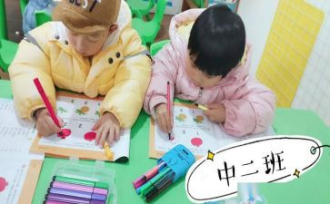 幼儿园幼儿园中班工作计划8篇