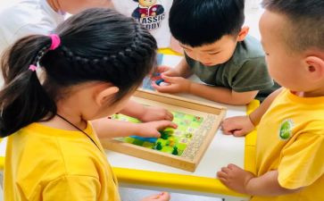 幼儿园中班的个人总结优秀6篇