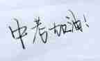描写中考的作文优质7篇