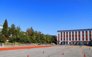 中心校培训工作总结6篇