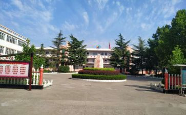 中心校副校长述职报告6篇
