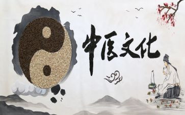 2024年中医医师工作总结8篇