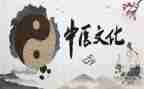 2024年中医医师工作总结8篇