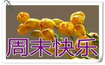 周末广场活动策划7篇