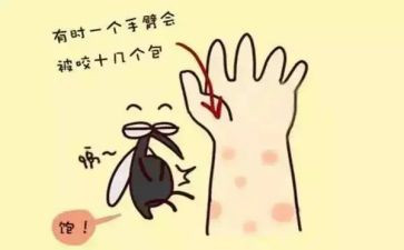 抓蚊子趣事作文7篇