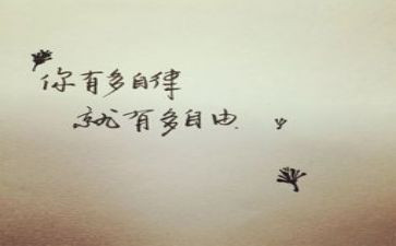 廉洁自律方面个人总结5篇