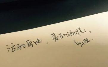 自由的度作文优质8篇