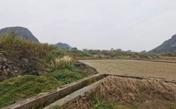 住房租赁合同7篇