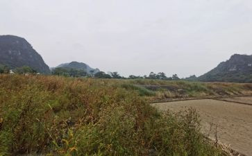 新房屋租赁合同优秀7篇